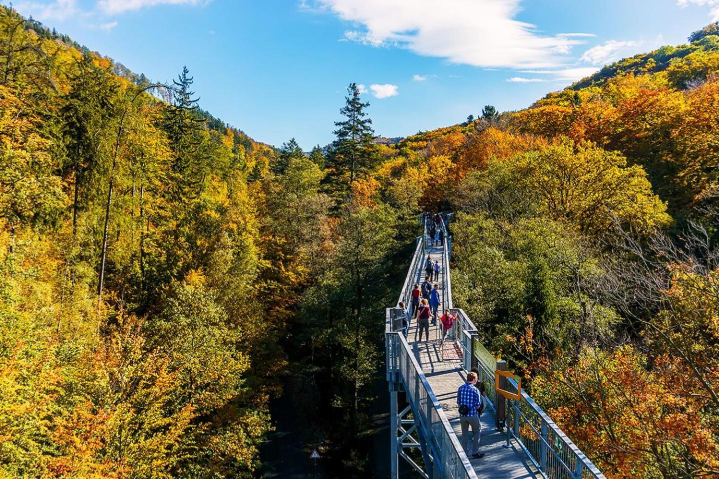 Apartmán Bergliebe Bad Harzburg Exteriér fotografie