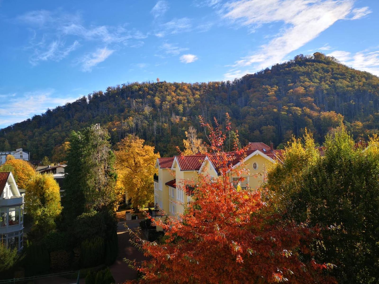 Apartmán Bergliebe Bad Harzburg Exteriér fotografie